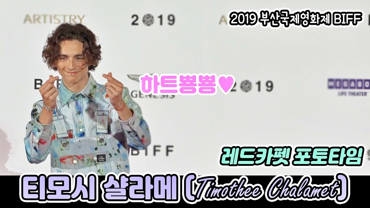 Timothée Chalamet 티모시 샬라메 'The King' Red Carpet @BUSAN 2019 BIFF