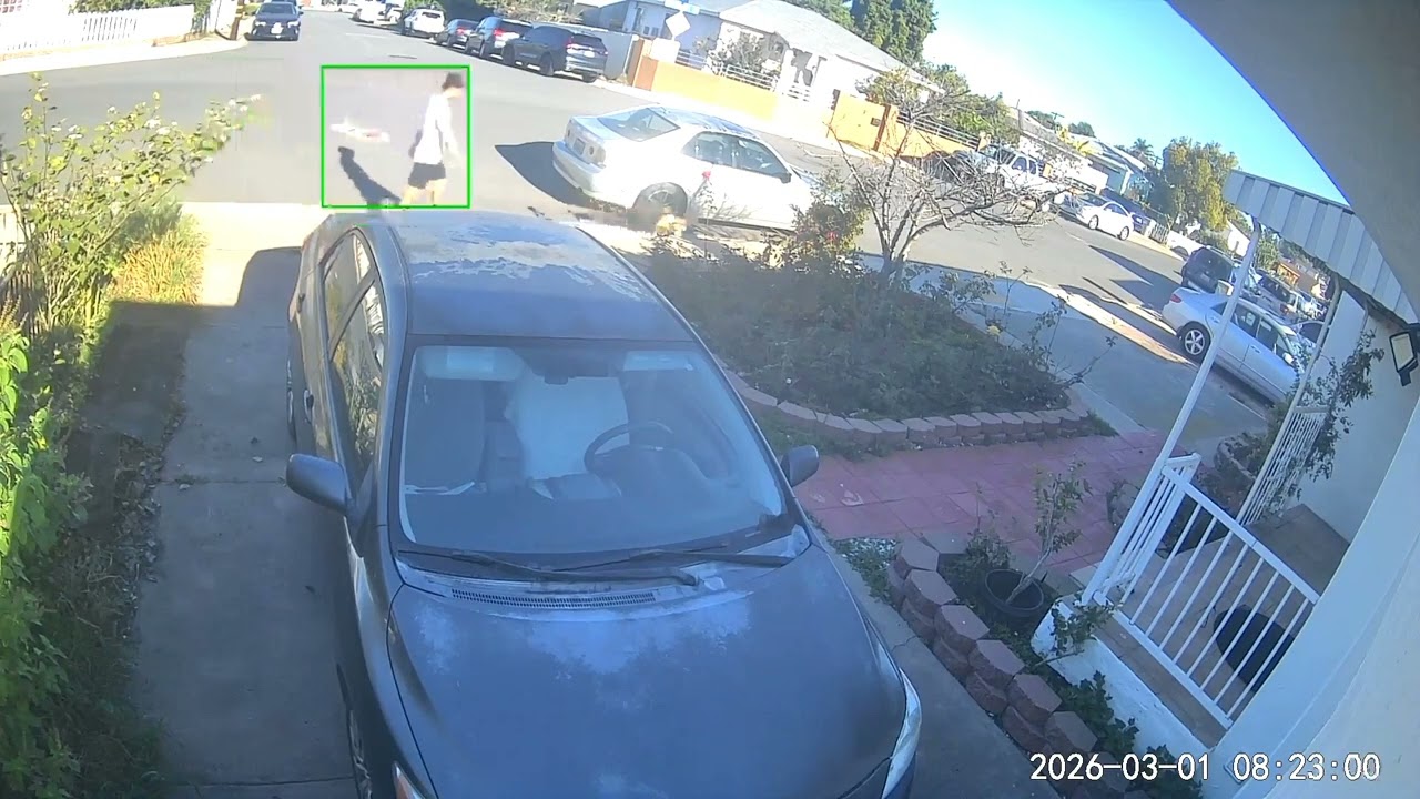 March 1, 2026 person 2011? Guy with #dog on the loose
