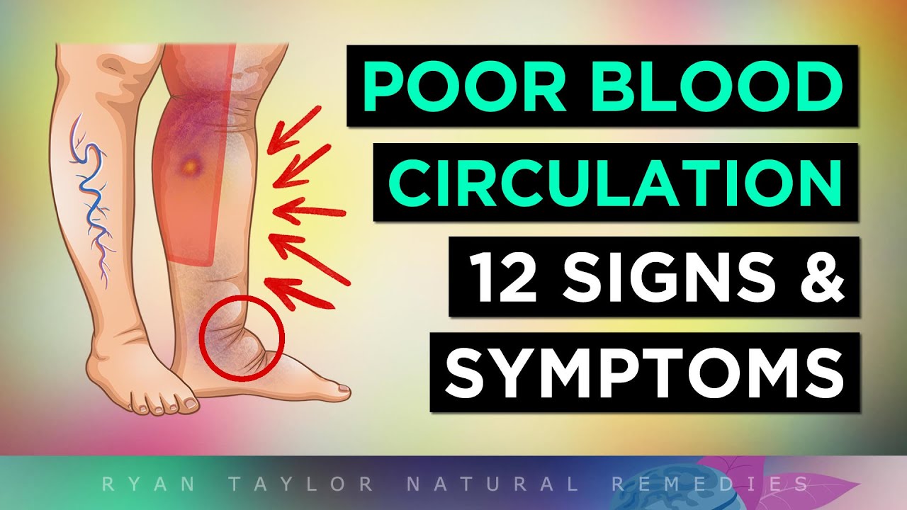 12 Signs You Have POOR Blood Flow (Circulation)