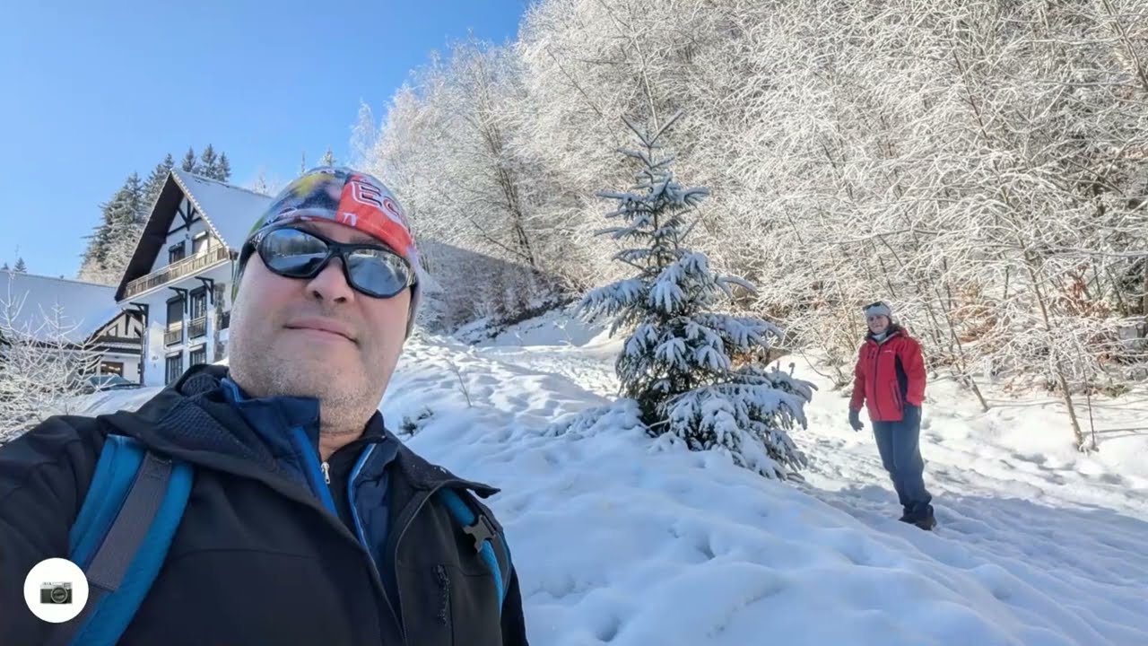 🥾 Am plecat de la Pietrele lui Solomon pe drumul vechi spre poiană și înapoi 🌲⛰️