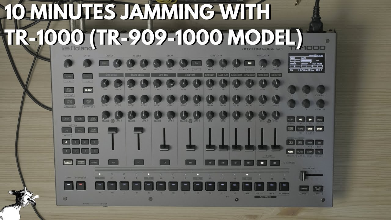 Roland TR-1000 — 10 минут, чтобы сказать, что это лучшая драм-машина?