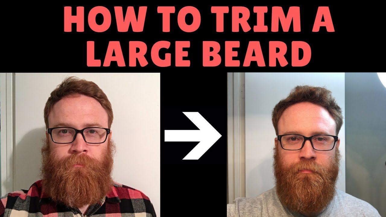 6 Month Trim Up - Maintaining a big beard