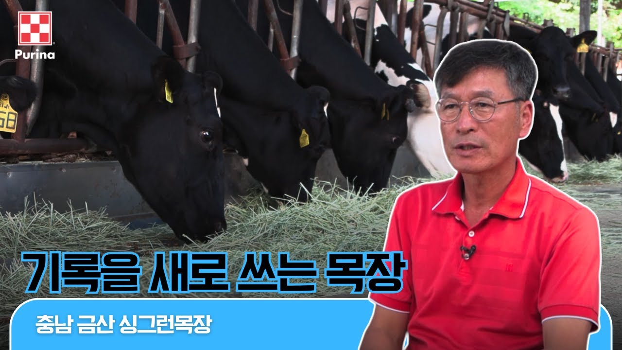 기록을 새로 쓰는 목장 | 히든챔피언을 찾아서[충남 금산 싱그런 목장]