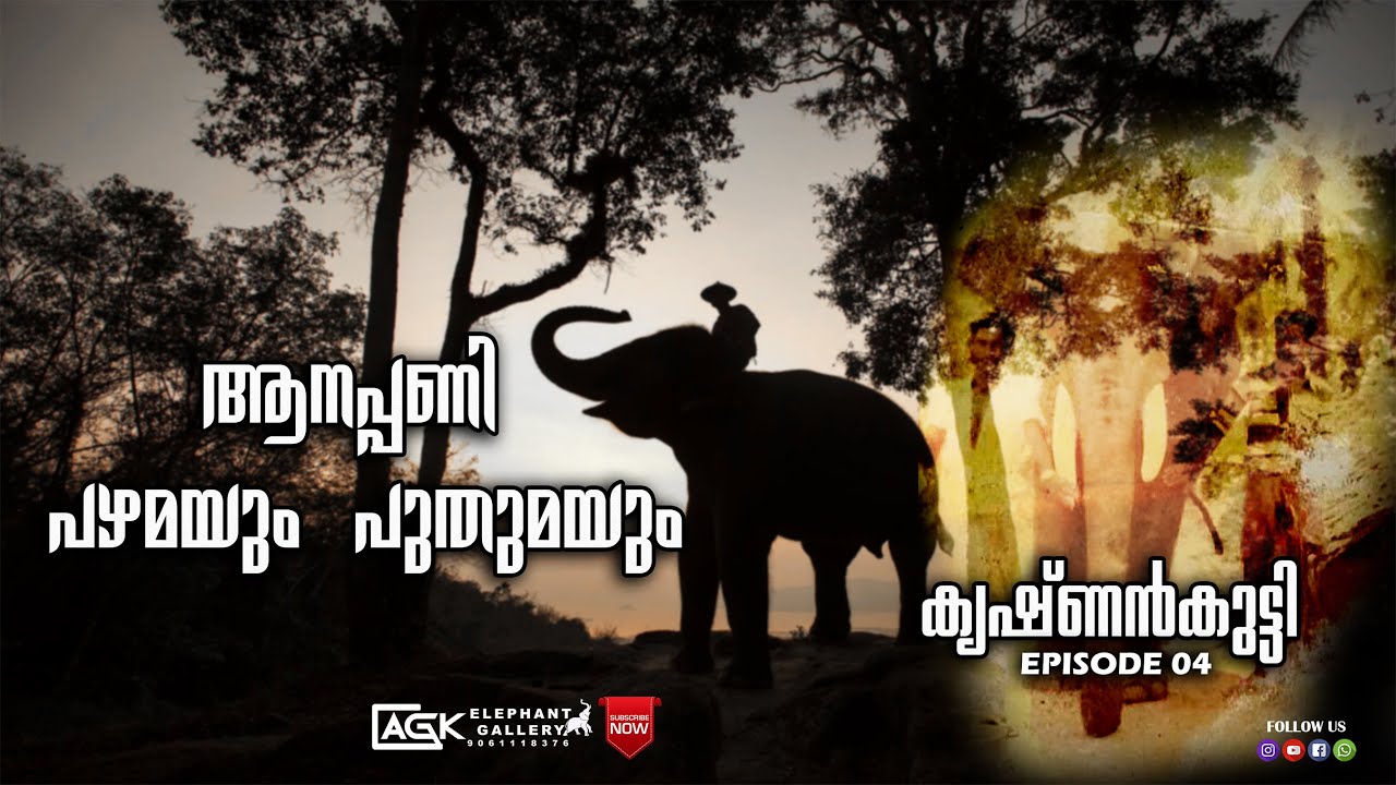 വെള്ളം കണ്ടാൽ ചാടുന്ന ഒരാനയായി തകഴി കായലിൽ  കൃഷ്ണൻകുട്ടി (തമ്പി) I EPISODE 04