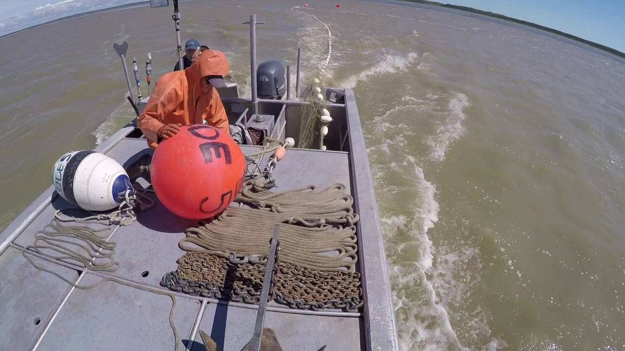 A Day in the Life of a Set Net Fisherman