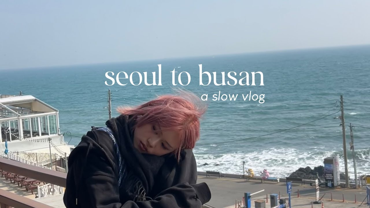breezy moments in busan & seoul