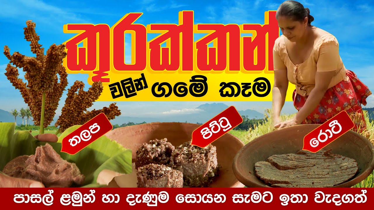 කුරක්කන් වලින් ගමේ කැම | තේවාව |  Thewawa Sri Lankan culture Documentary