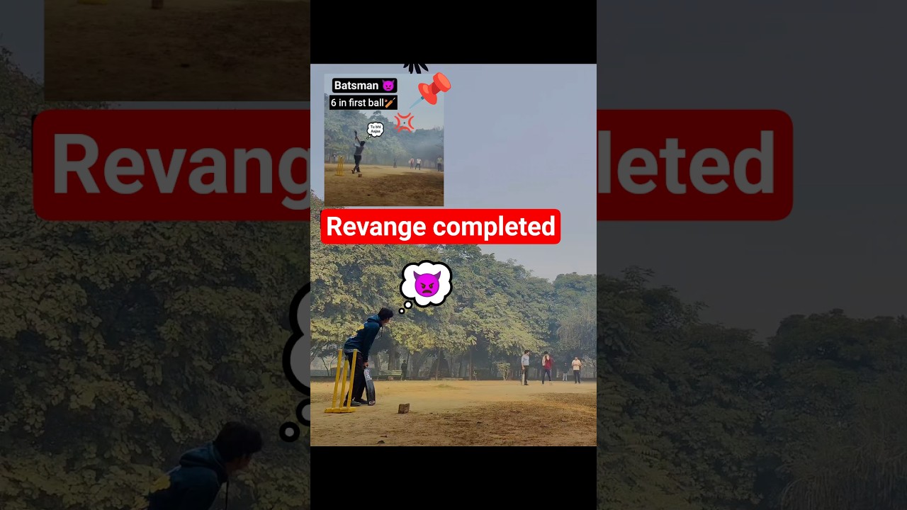 Cricket revenge 😅 