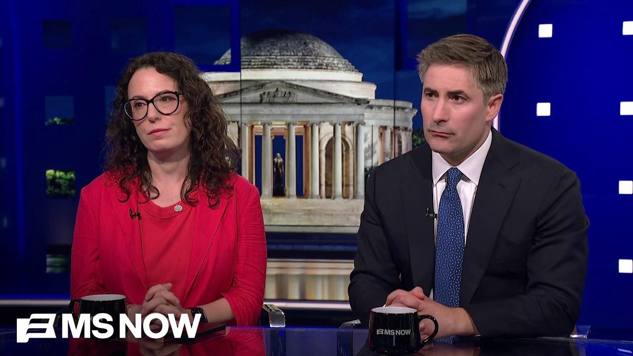 Haberman and Swan react to Trump's attacks on them ahead of damning book, 'Regime Change'