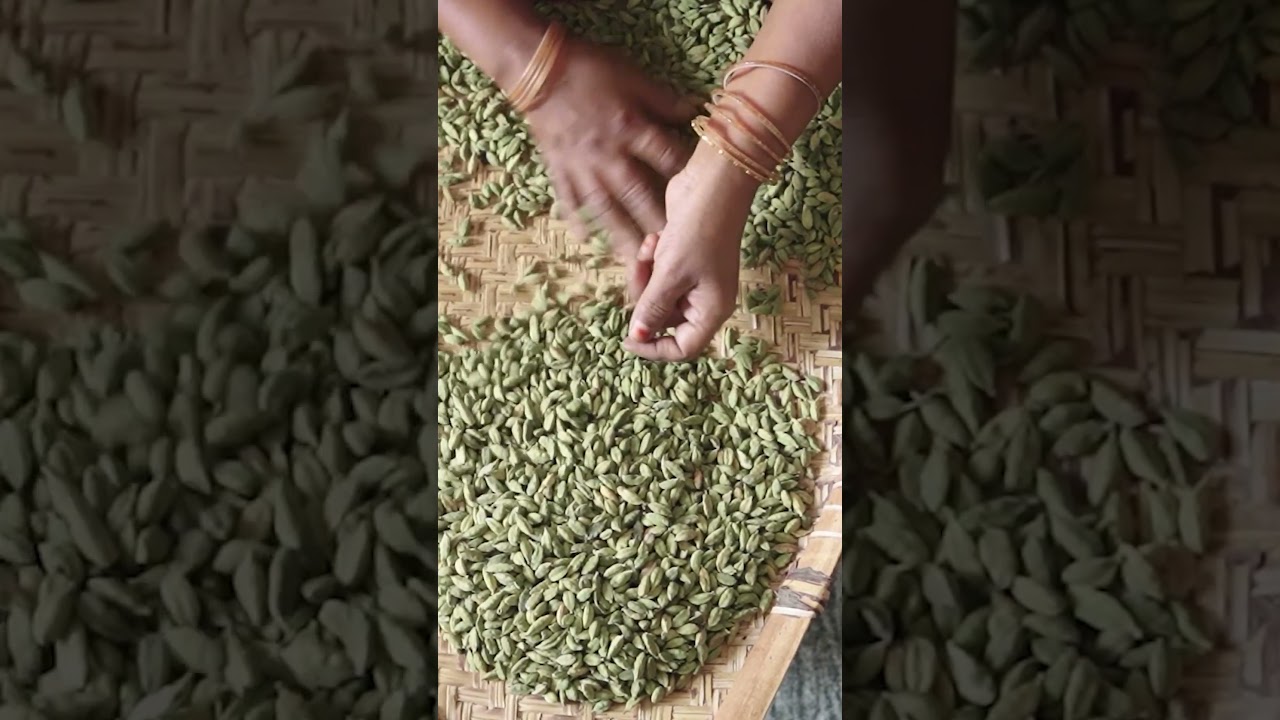 Por que o Cardamomo Verde &eacute; t&atilde;o Caro? | Insider Portugu&ecirc;s