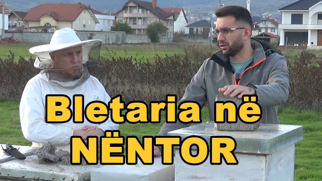 NËNTORI: Çfarë duhet të bëjë Bletari ? ( Kalendari i Bletarit )