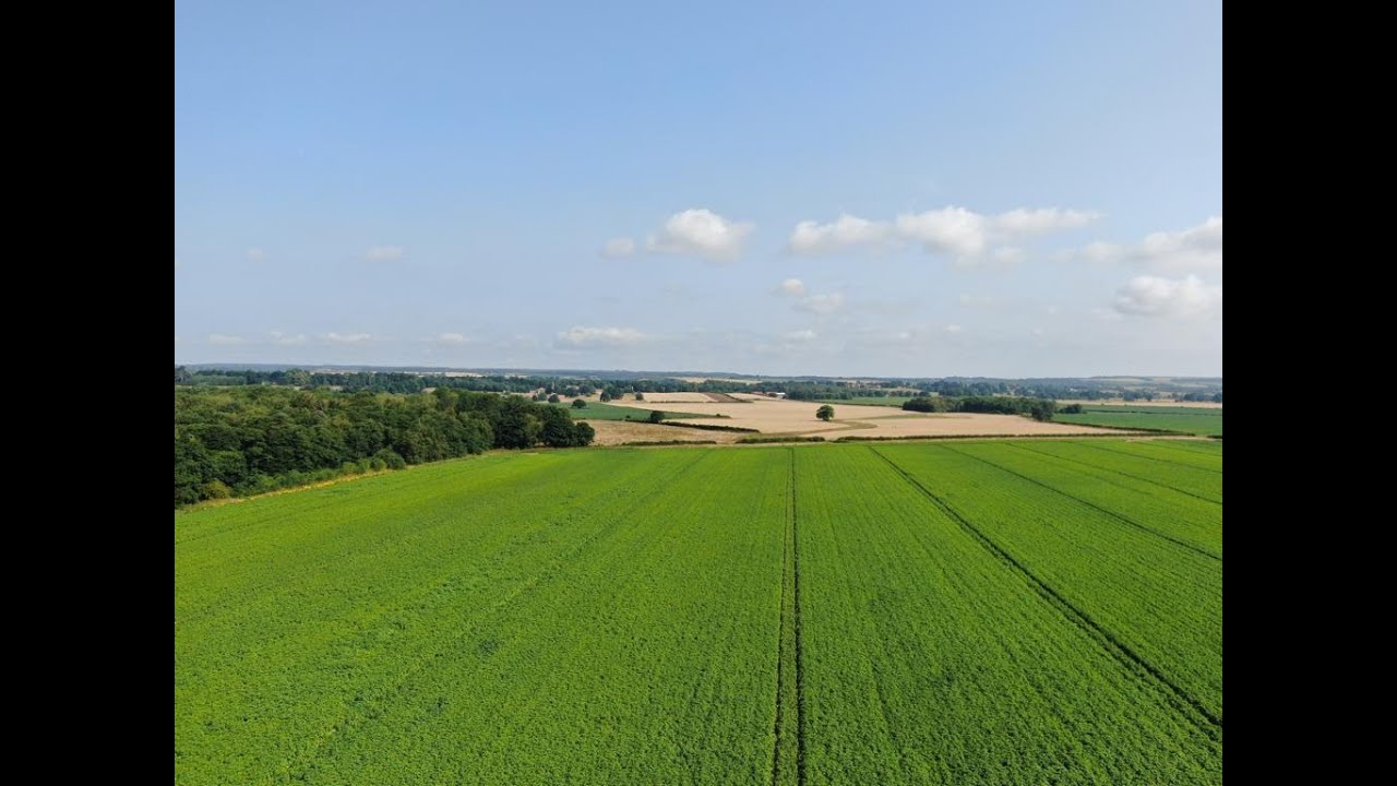What fertiliser should you apply to potato crops?