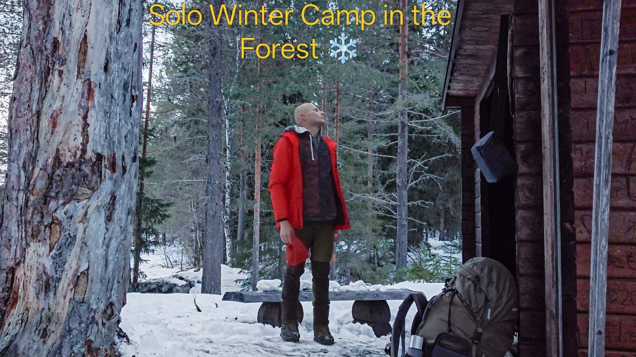 Solo Winter Night in the Forest Sleeping in a Shelter North Sweden