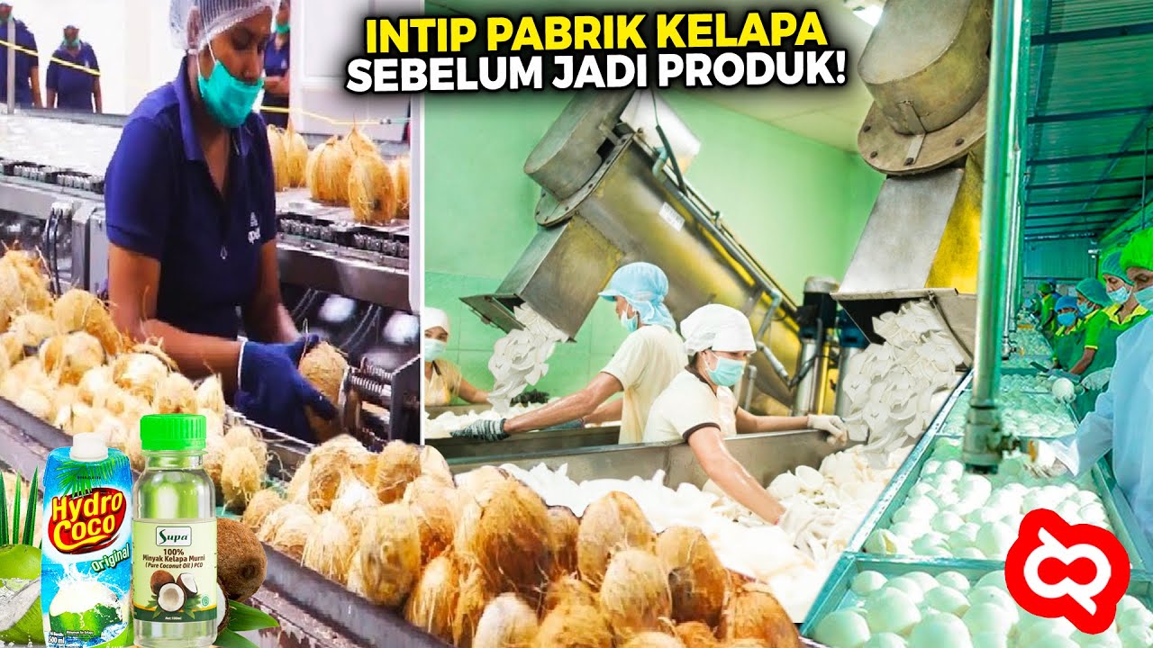 Rahasia Mesin Pabrik Kelapa Hingga Jadi Jeli, Minuman dan Minyak, Ternyata Prosesnya Serumit ini...