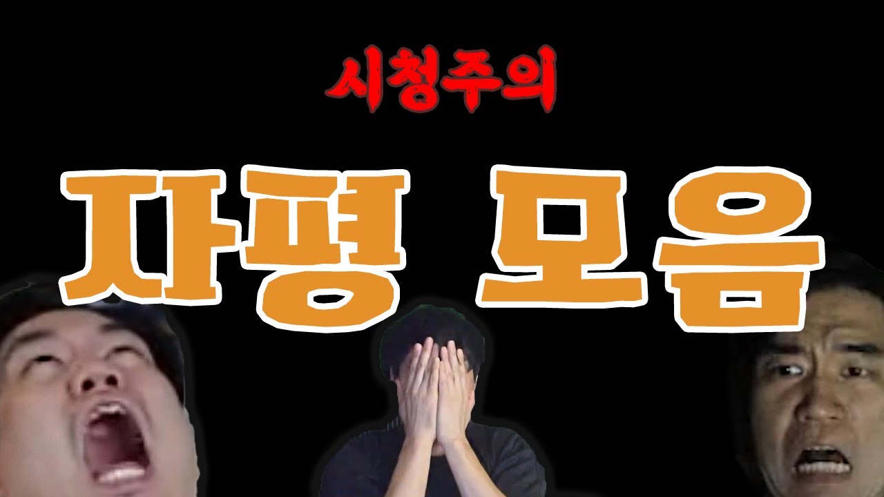 [자동] 자평 모음.