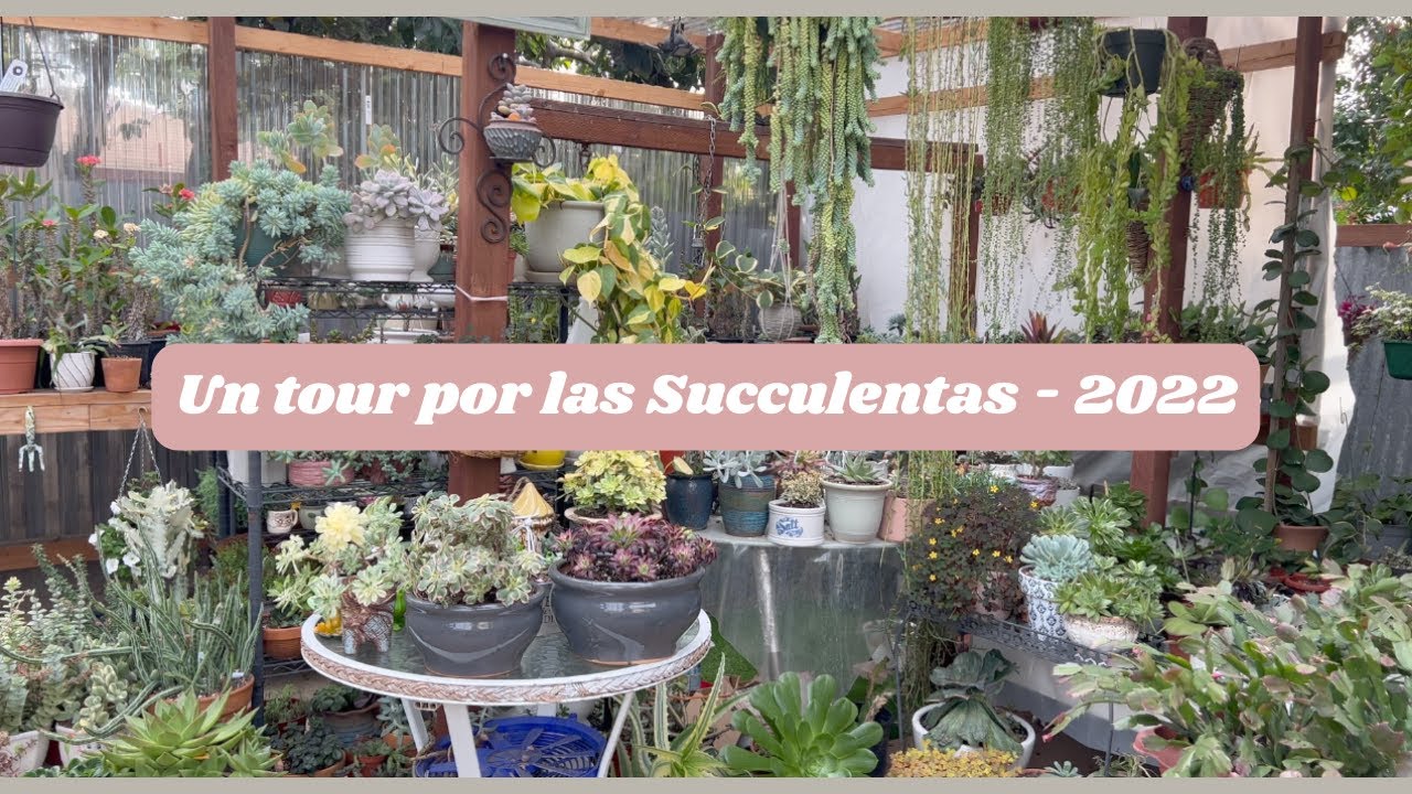 Un tour por las Succulentas   2022