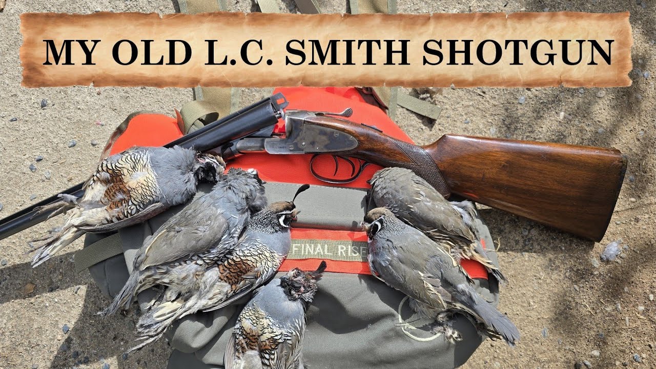 Моё старое ружьё L.C. Smith