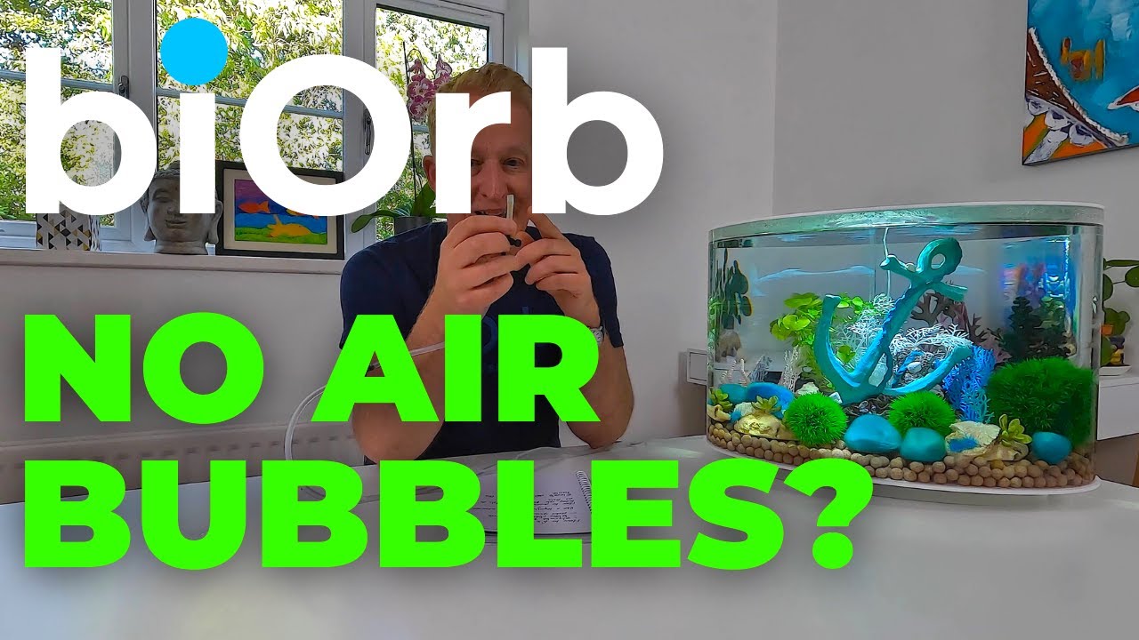bOrb Aquarium |  No air bubbles? |  But air pump works!