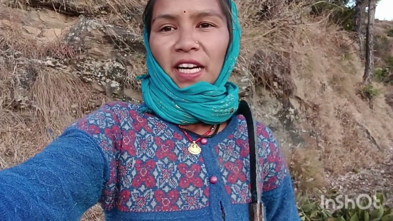 Aaj gye hum लकड़ी के लिए🌳🌳