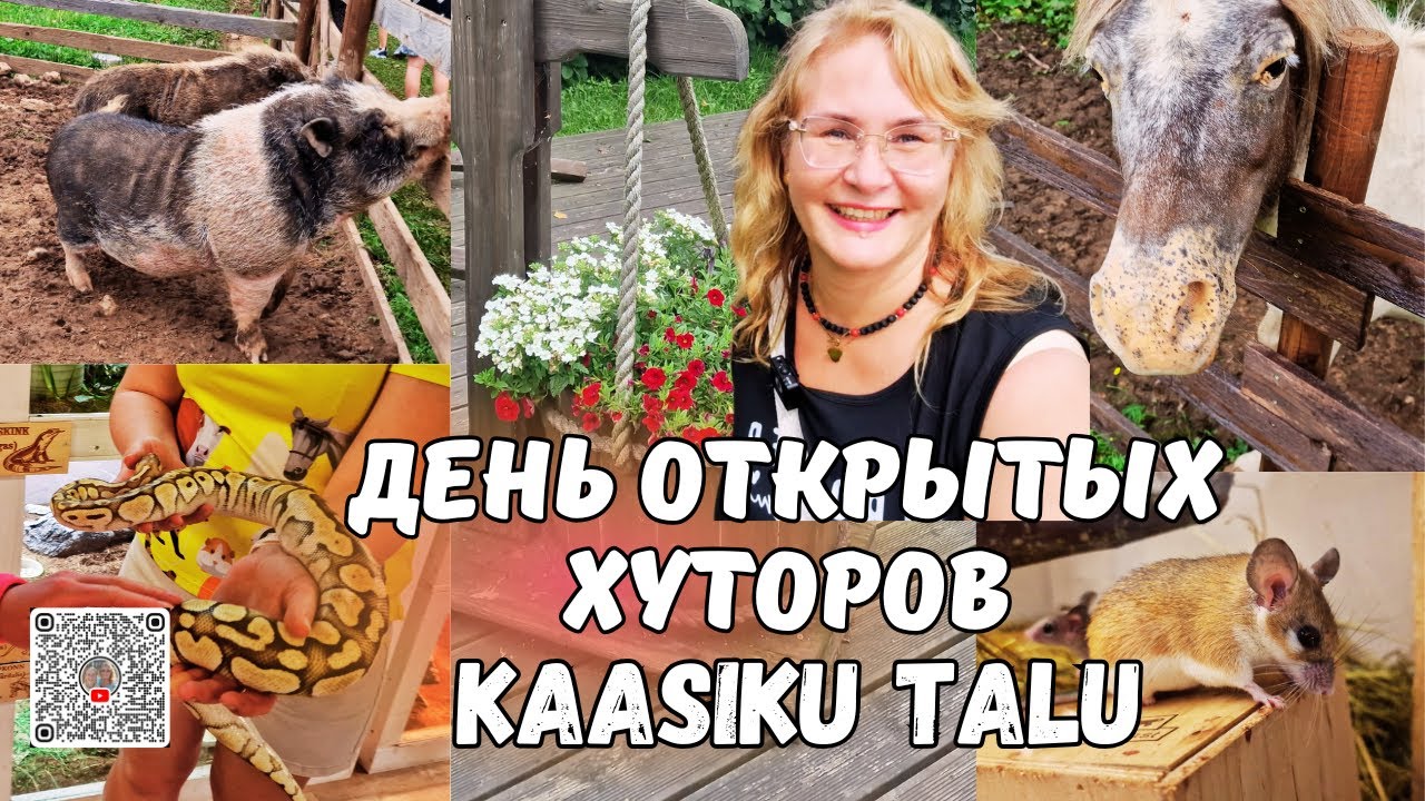Как живёт эстонский хутор.Kaasiku Talu.Неожиданные друзья на ферме!Хутор с экзотическими животными!