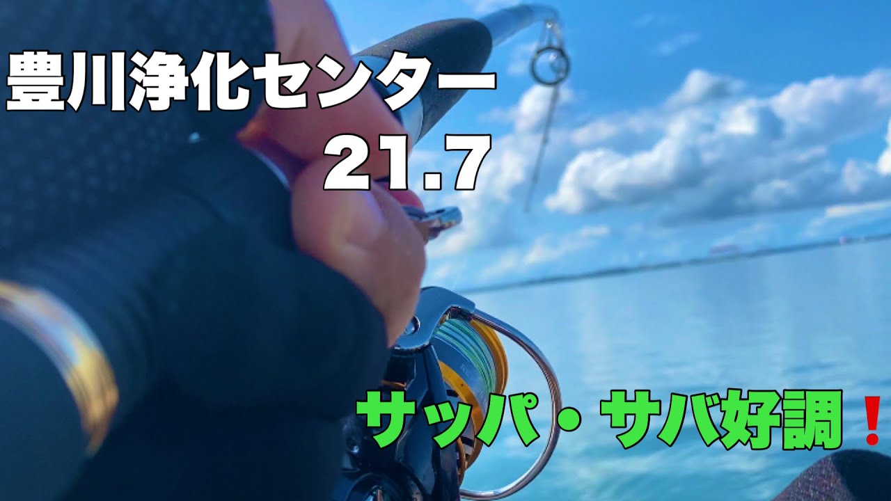 【サビキ・泳がせ】豊川浄化センター