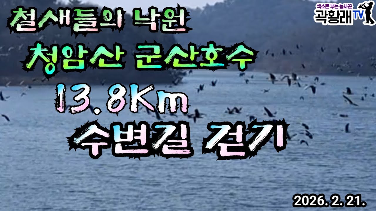 청암산 군산호수 수변길 13.8Km 철새들의 낙원 사계절 걷기좋은 곳