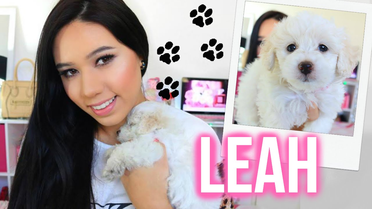 MI NUEVA MASCOTA LEAH + HAUL