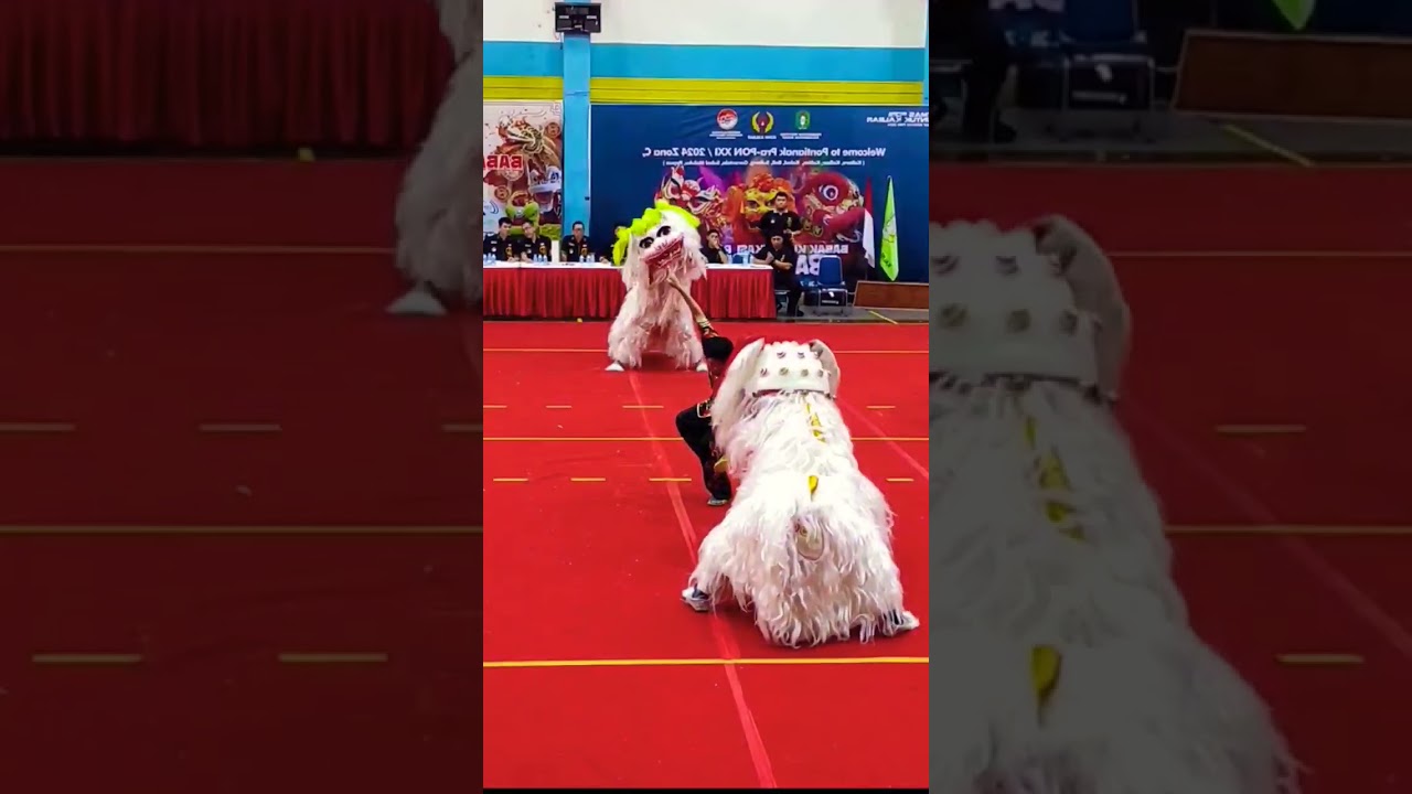 PEKINGSAI DIBERI MINUM #starnetindonesia #starnet5 #barongan  #barongsai