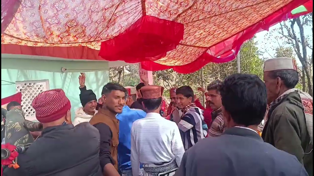 Pahari band baja Dance  Enjoy // #pahadidance #cultre #enjoy #himachaliculture #song 