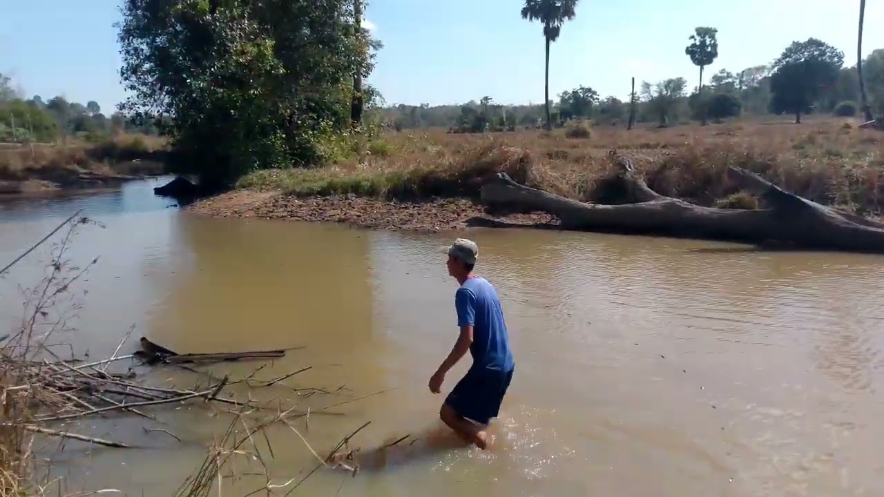 #ຫາປາມາກີນກອ່ນ