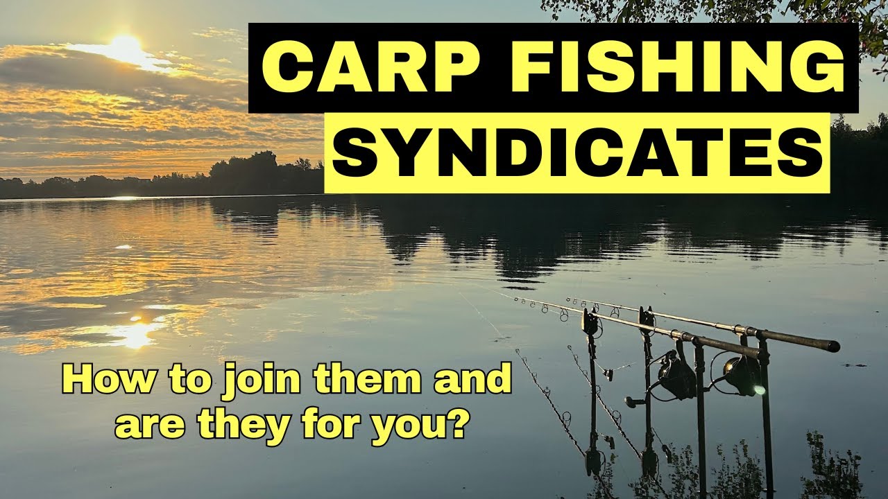 Carp fishing syndicates...are they for you?
