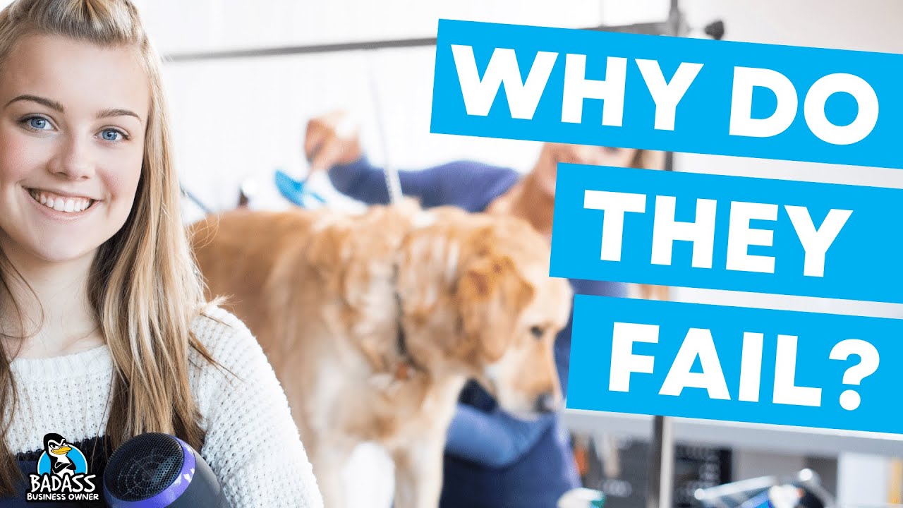 Why Do Dog Grooming Businesses Fail? | 7 Reasons to Watch Out For