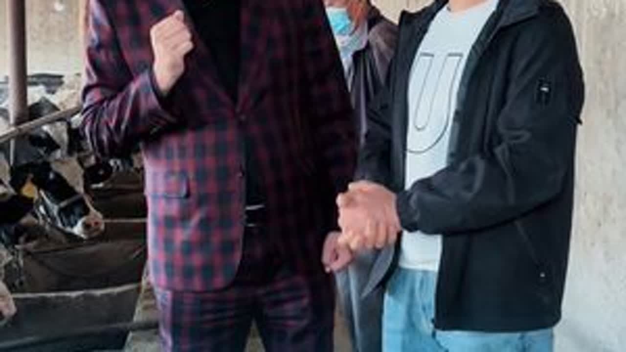 @卡马力SERHIL @卡马力🌺夫人 #养殖 #养牛人 #卡马力 #加油每一天 #养殖技术