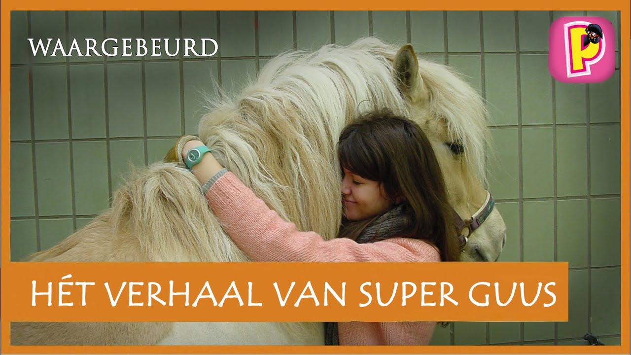 Het verhaal van Super Guus (waargebeurd)