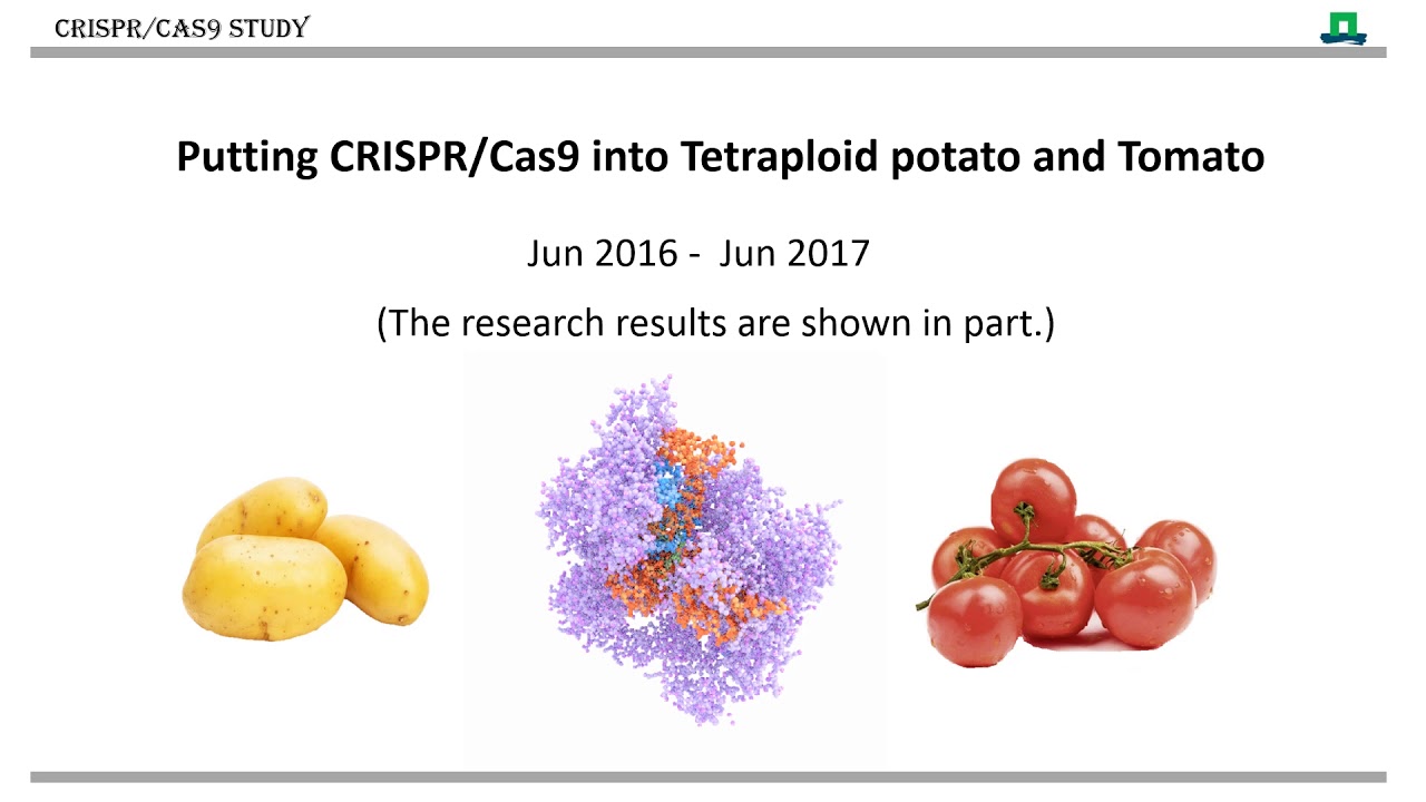 plant breeding innovation snapshot