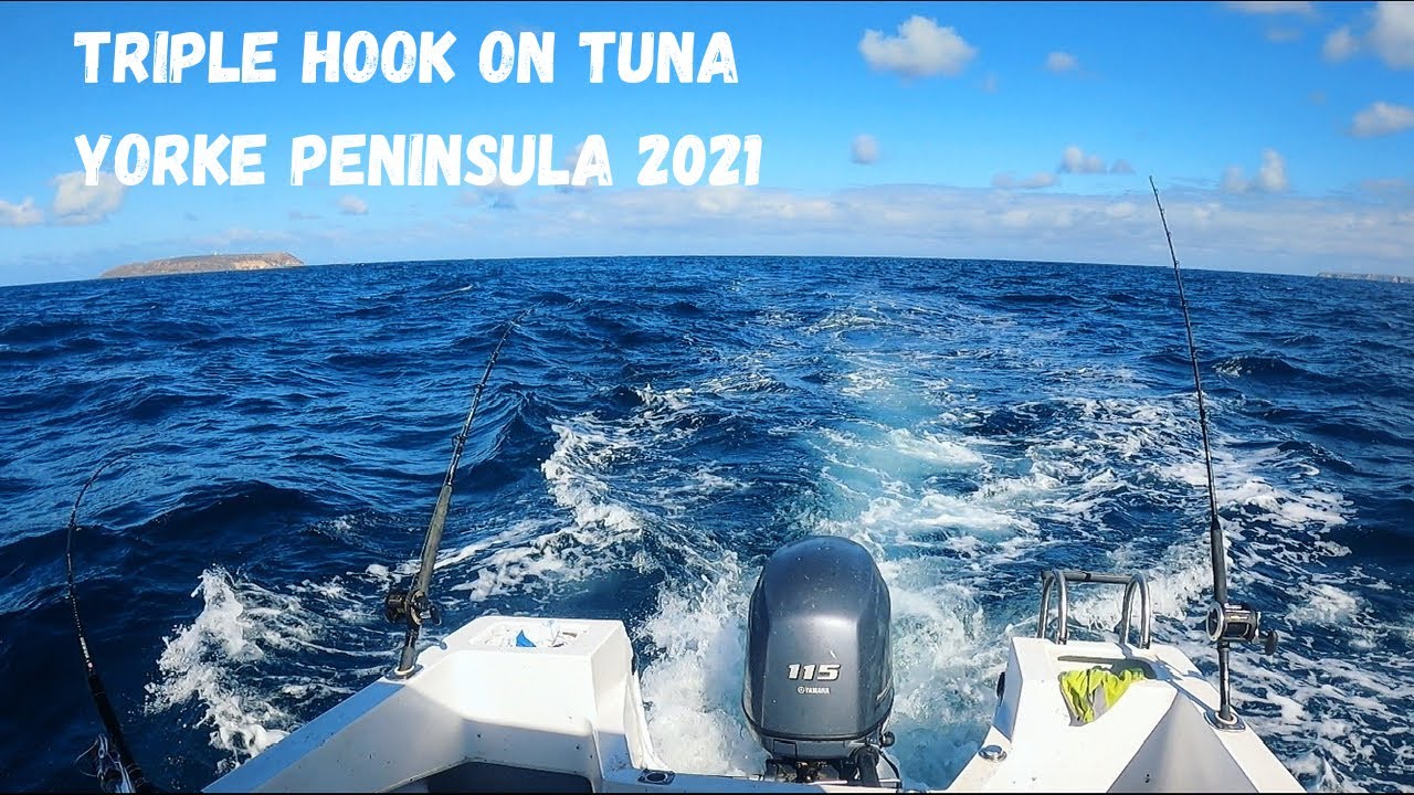 CRAZY TRIPLE HOOK UP ON TUNA - Fishing in South Australia JKA