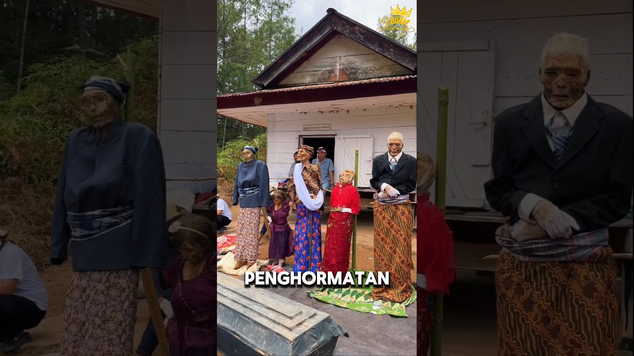 RITUAL ADAT SUKU TORAJA #shorts #shortvideo #ritual #traditional
