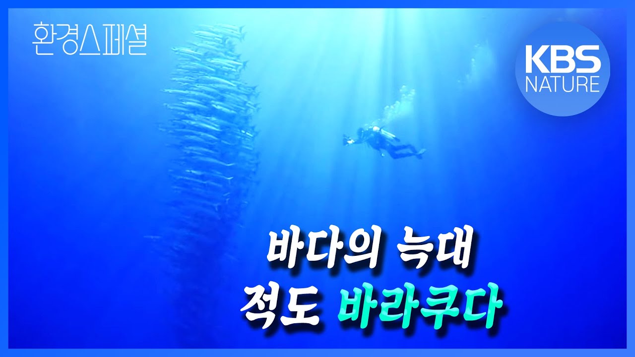 코코넛을 집으로! 환경스페셜 ‘적도의 바다’ / KBS 20130109 방송