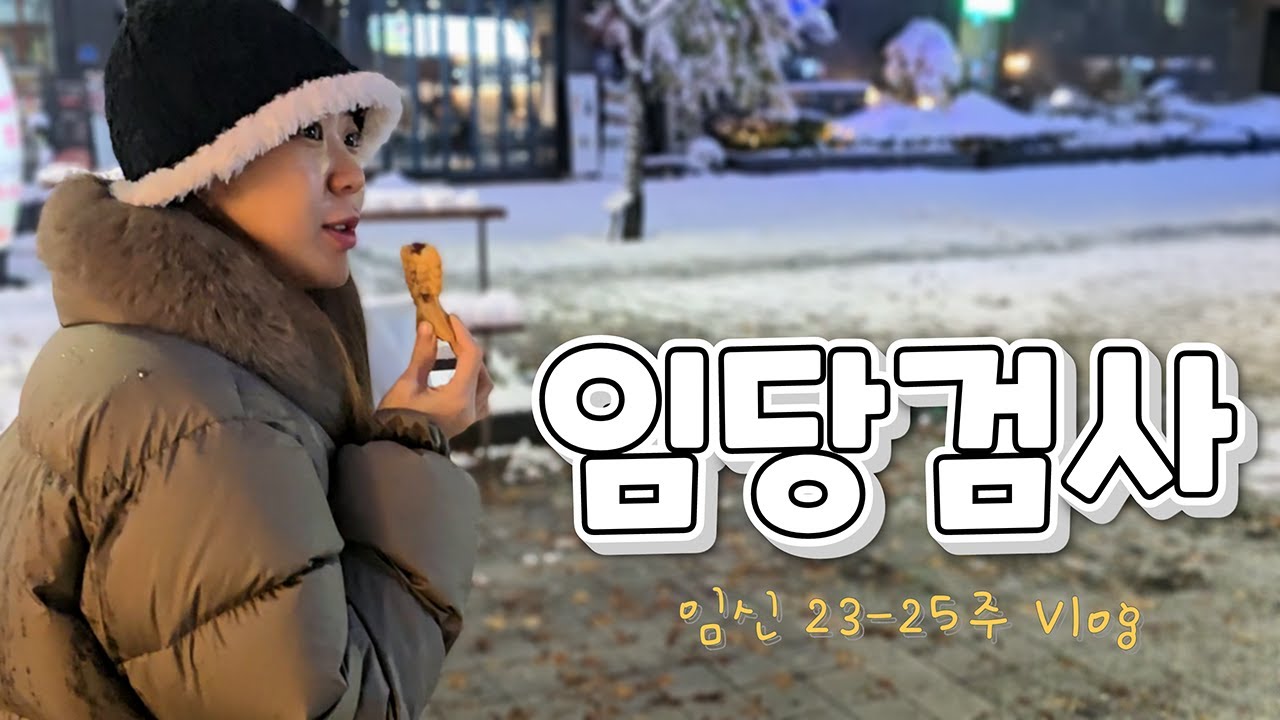 [임신 23주-25주] 폭설 뚫고 임당검사, 패밀리카 시승 계약, 수원 코베 베이비페어 방문기