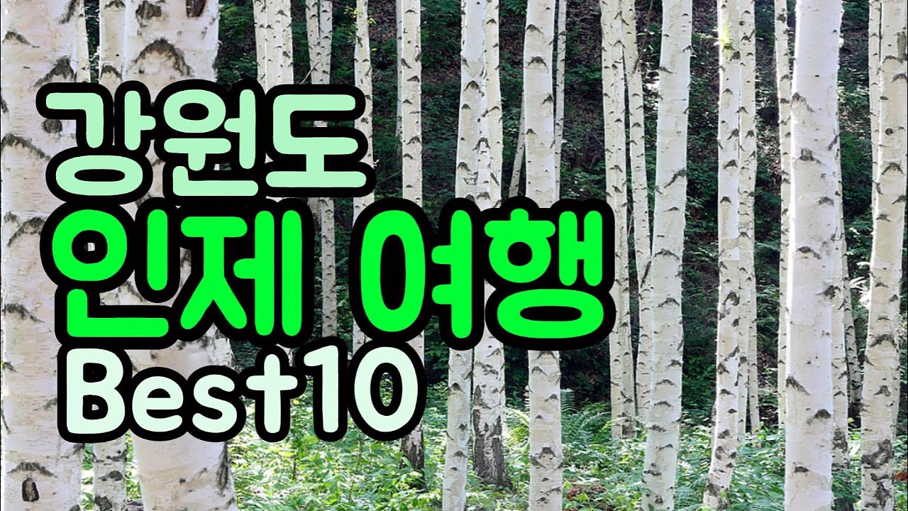 🇰🇷강원도 인제 여행 Best10🌿자연속에서 즐기는 힐링여행지✨인제 가볼만한 곳 추천👉원대리 자작나무숲,백담계곡,곰배령,인제내린천래프팅,매바위인공폭포,아침가리계곡,방태산자연휴양림