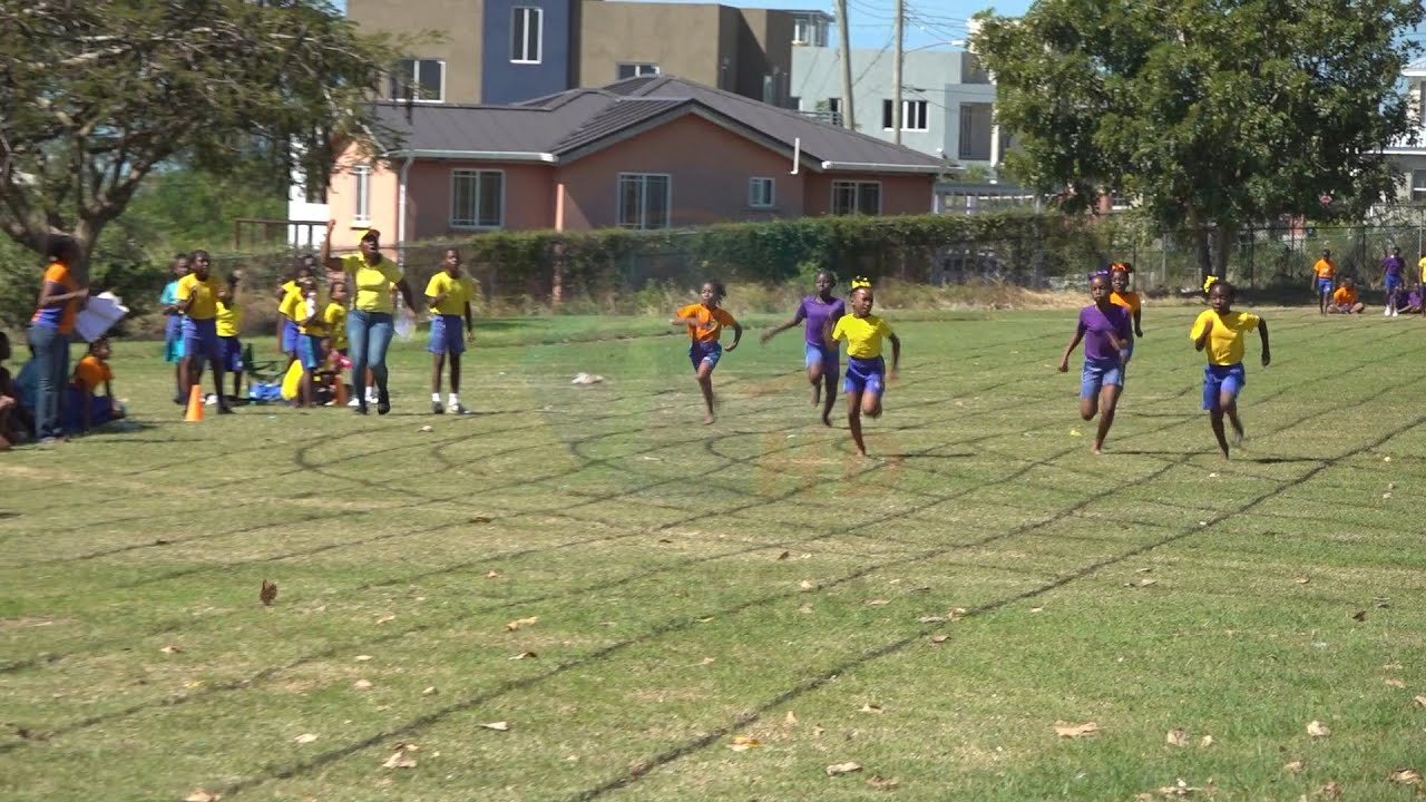 Gold House wins inter-house sports at St. Lawrence Primary