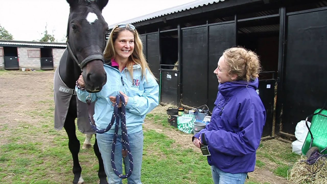 The David Broome Event Centre: 16.10.11 - British Dressage - Senior Home International (highlights)
