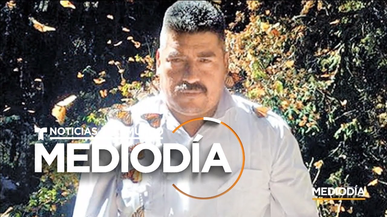 Hallan el cuerpo de otro defensor de la mariposa Monarca en M&eacute;xico | Noticias Telemundo