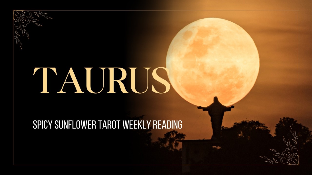 Taurus//Weekly Tarot Reading//Feb 2026//Spicy Sunflower Tarot