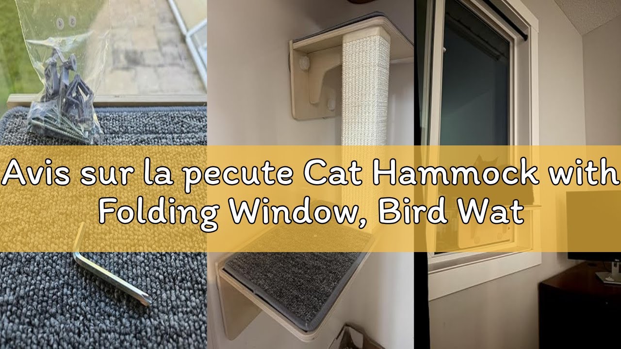 Avis sur la pecute Cat Hammock with Folding Window, Bird Watching, Kitten Hammock, XL 66 x 39 x 26 c