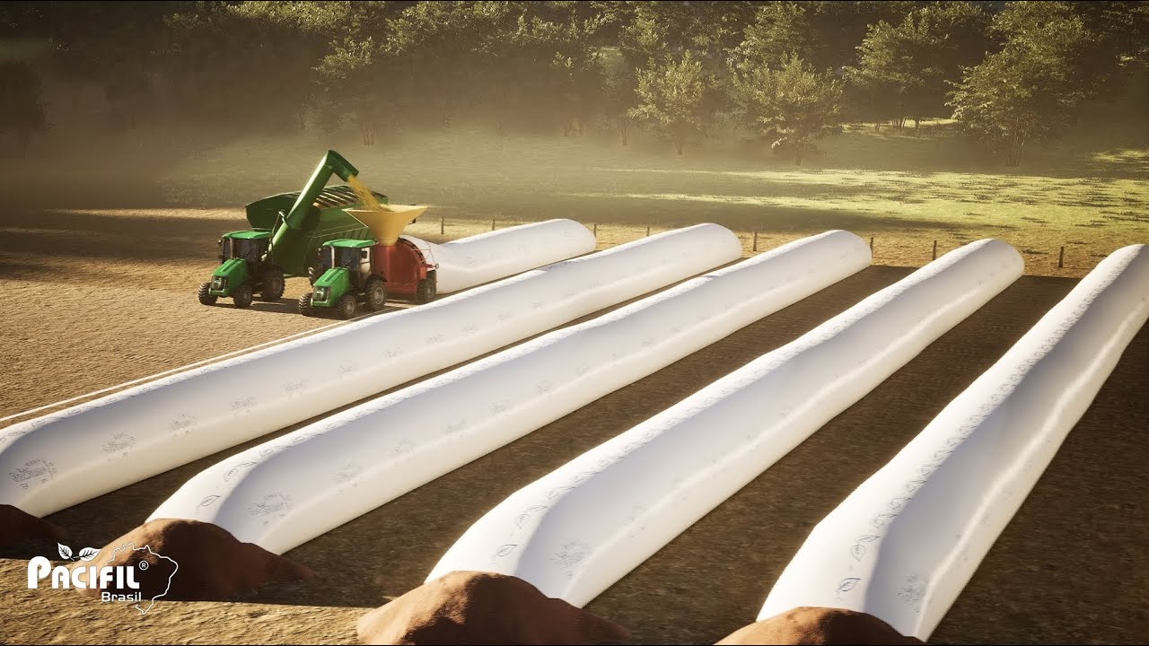 How to Store and Bag Grains in Pacifil Silo Bags: Essential Process and Care Tips.