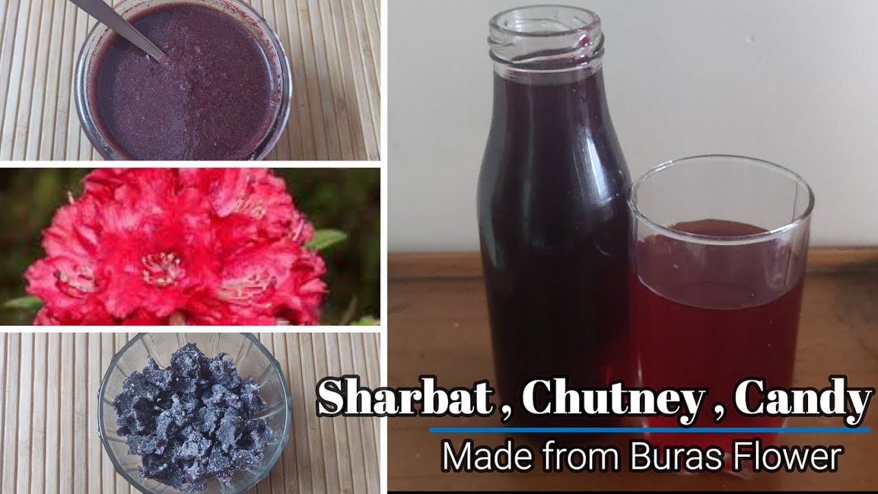 Buransh sharbat , chutney , candy | 3 types you can use buransh flower | Rhodo , braass , buras