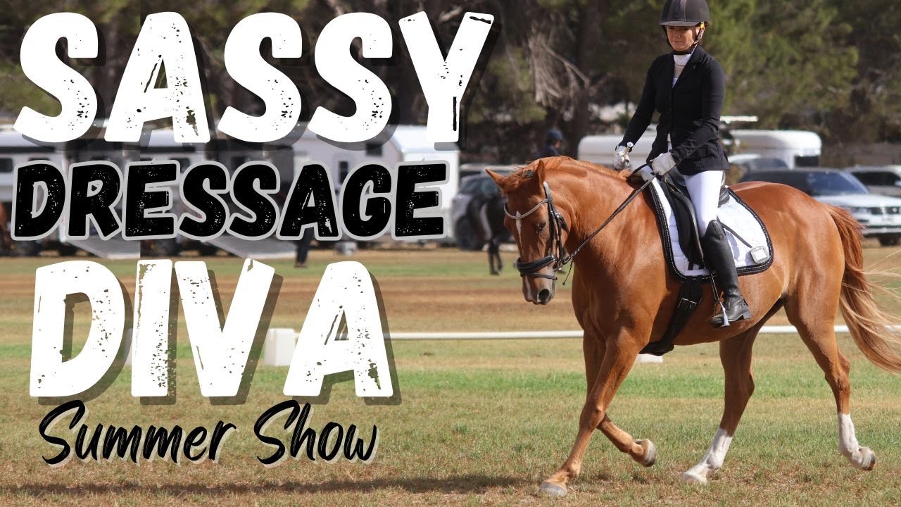 ⭐️SASSY Miss Bella ~ Summer Dressage Vlog⭐️#horse #equestriantraining #dressage