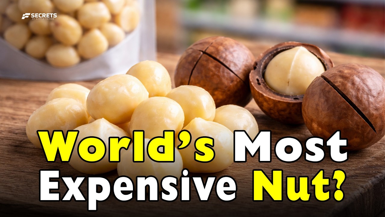 Why Are Macadamia Nuts the World’s Most Expensive Nuts?