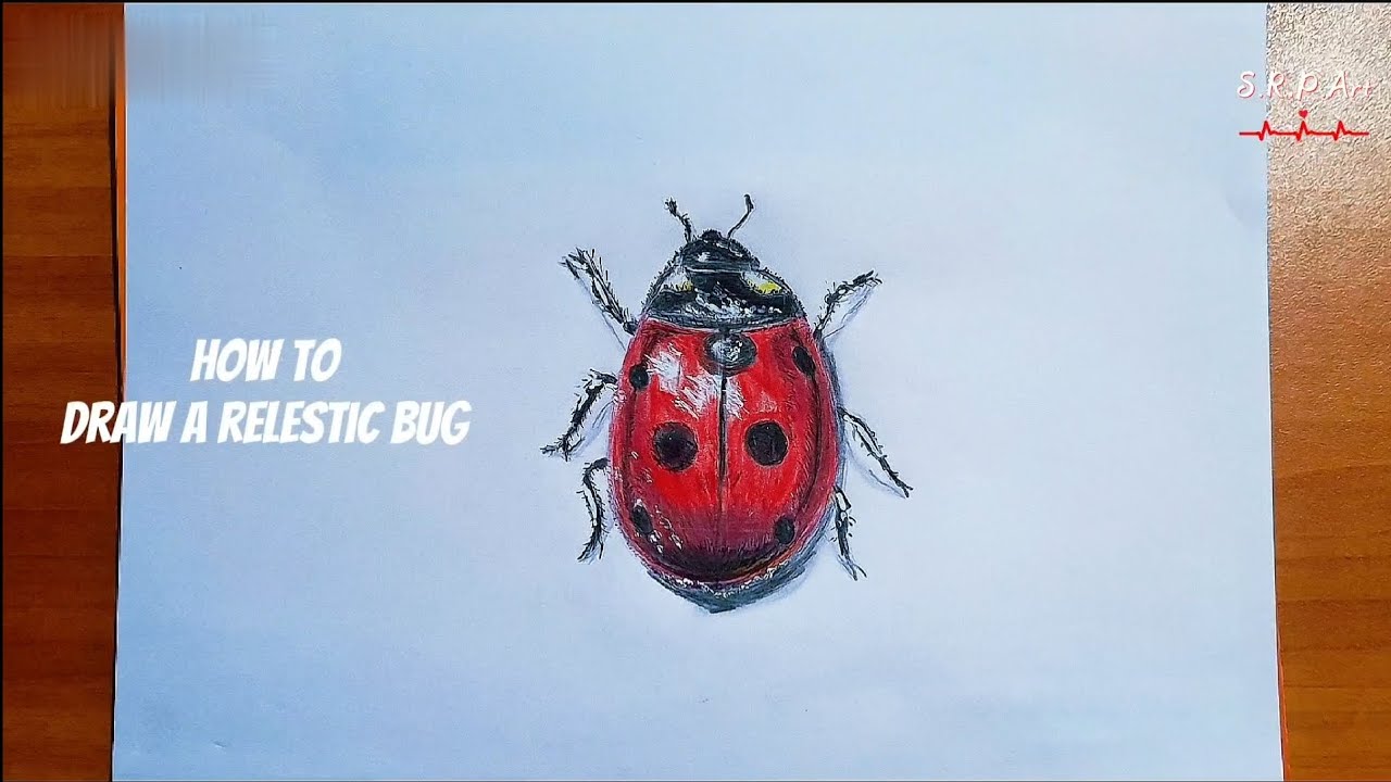  HOW TO DRAW A RELESTIC BUG , STEP BY STEP ,  #art #artist #follow 